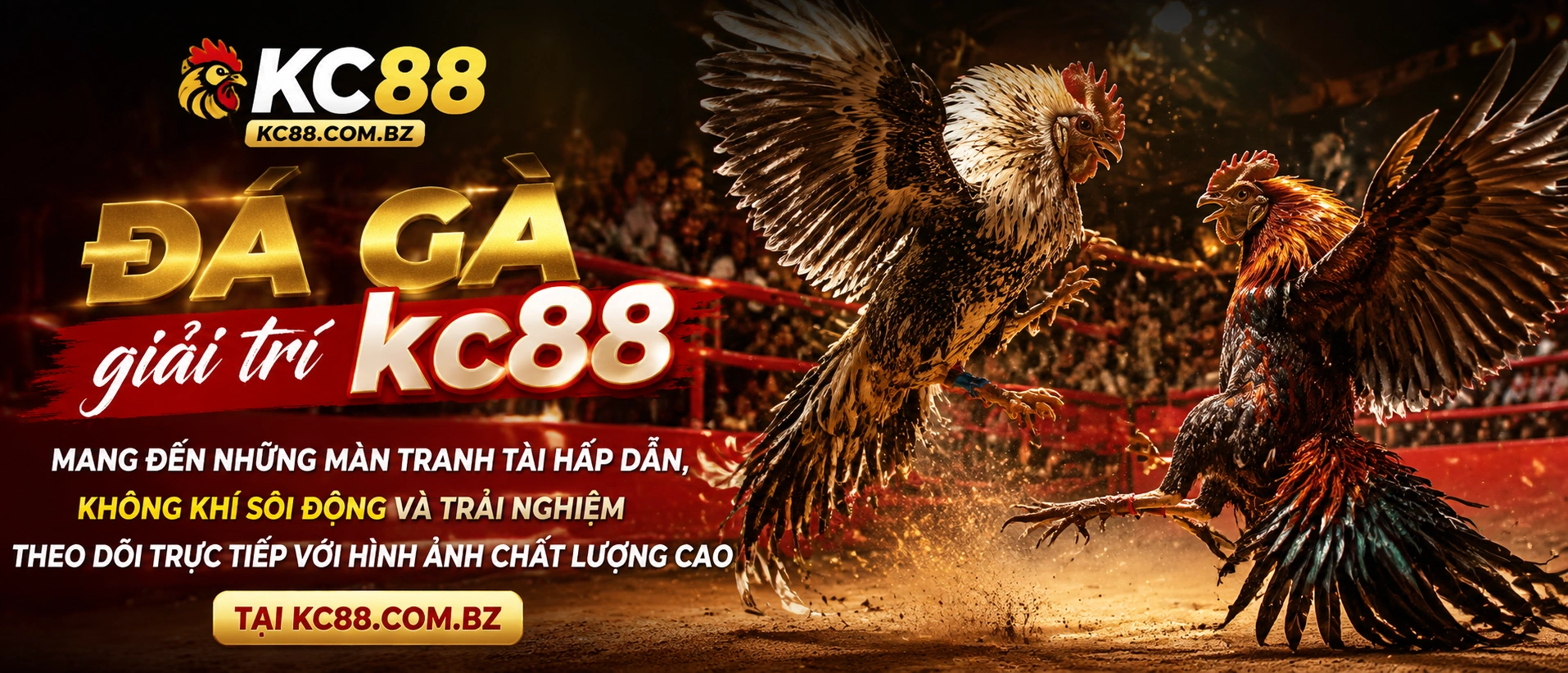 Đá Gà KC88
