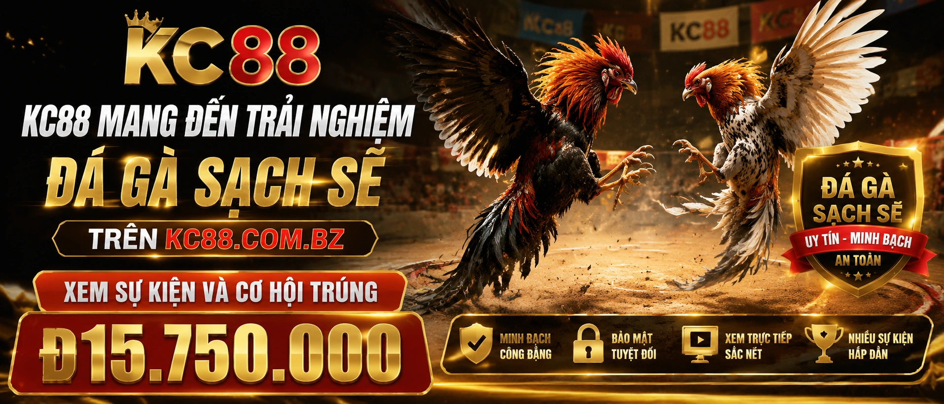 Đá Gà Trực Tiếp
